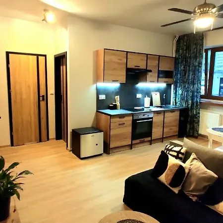 Apartment Piotra Skargi *